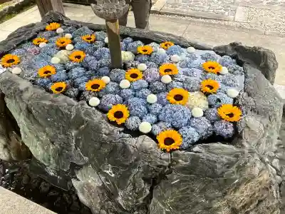 常念寺(愛知県)