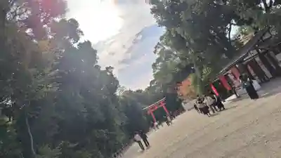 賀茂御祖神社（下鴨神社）(京都府)