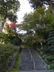 若狭神宮寺の御朱印