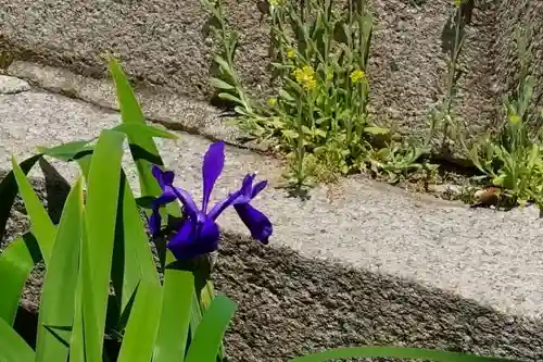 住吉大社の自然