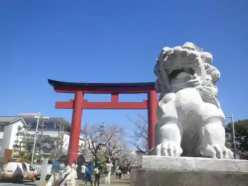 鶴岡八幡宮の狛犬