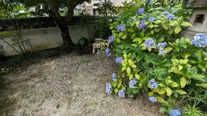 宝円寺(京都府)