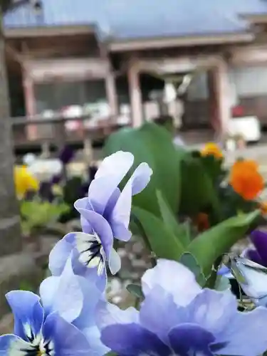 千代ケ岡八幡宮の自然