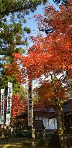 華厳寺の自然