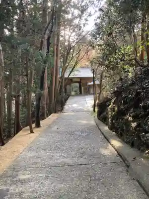 鶴林寺の{uncategorized: "未分類", other: "その他", undefined: "問題あり", building: "その他建物", grave: "お墓", sacred_gate: "鳥居", guardian: "狛犬", statue: "像", buddha: "仏像", history: "歴史", nature: "自然", garden: "庭園", animal: "動物", pagoda: "塔", temizu: "手水舎", mountain_gate: "山門・神門", sanctuary: "本殿・本堂", subordinate: "末社・摂社", art: "芸術", scenery: "景色", jizo: "地蔵", ema: "絵馬", goshuin: "御朱印", omikuji: "おみくじ", items: "授与品その他", amulet: "お守り", goshuincho: "御朱印帳", eats: "食事", festival: "お祭り", votive_dance: "神楽", shichigosan: "七五三参", wedding: "結婚式", experience: "体験その他", initially: "初詣", around: "周辺", anti_infection: "感染症対策"}