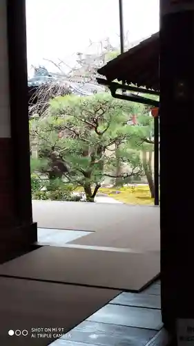 妙顯寺（妙顕寺）の庭園