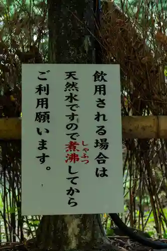 富士山本宮浅間大社(静岡県)