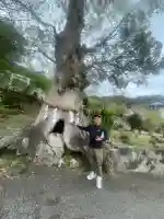 高千穂神社(鹿児島県)