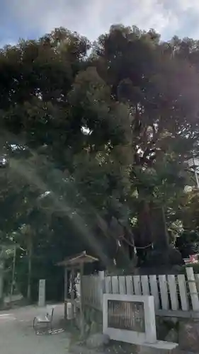 志氐神社(三重県)