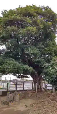 子易神社(神奈川県)