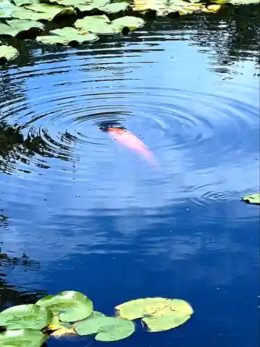 倶梨迦羅神社(長野県)