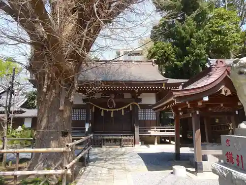 印内八坂神社の本殿