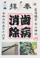 荻窪白山神社の御朱印