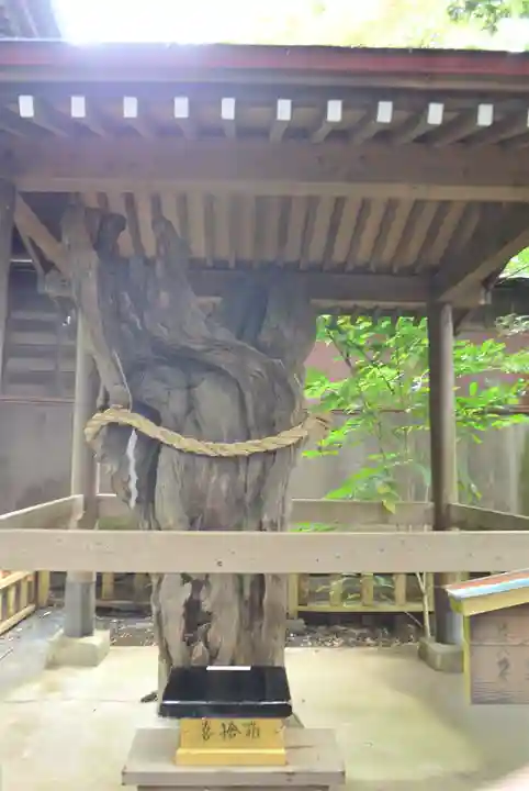 鶴嶺八幡宮(神奈川県)