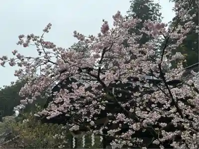 日光二荒山神社(栃木県)