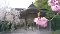 宝珠山 立石寺の山門・神門