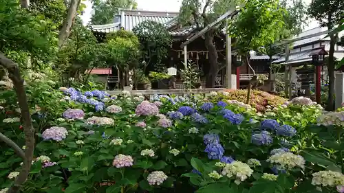 白山神社の庭園