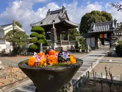 真言宗　善通寺派　薬王寺(香川県)