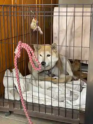 笠䅣稲荷神社(神奈川県)