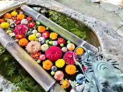 立志神社(滋賀県)