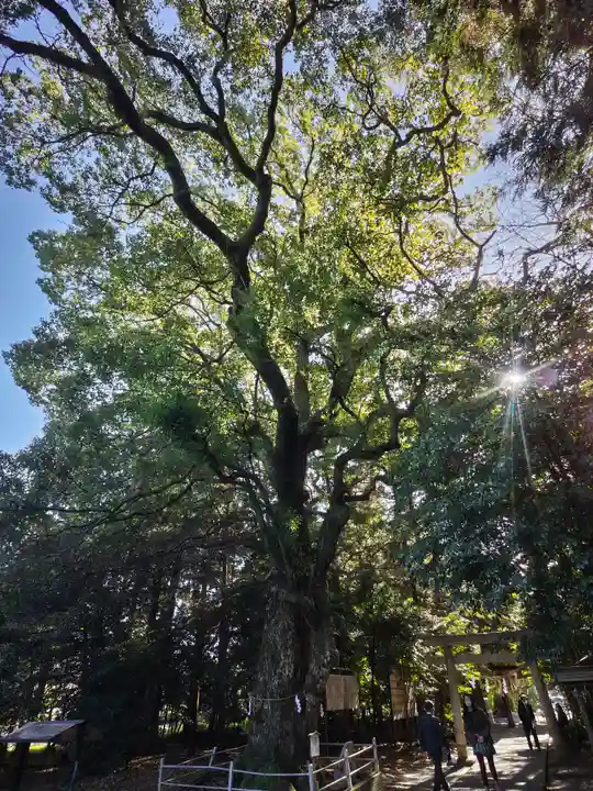 山名神社の自然