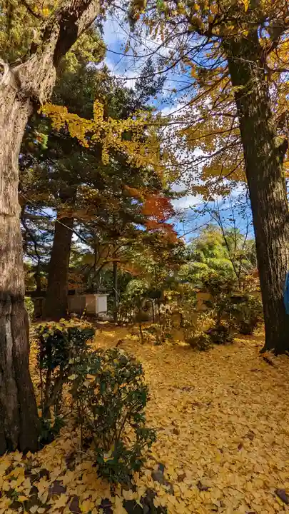 観音寺(京都府)