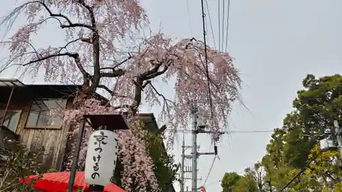 南禅寺の景色