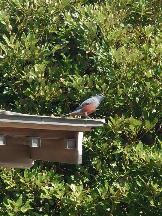聖天神社(聖天上人像社)(神奈川県)