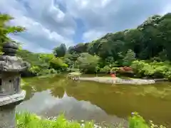 浄瑠璃寺(京都府)