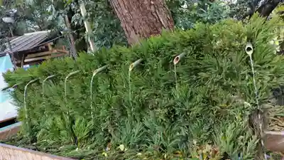 賀茂御祖神社(下鴨神社)の手水舎