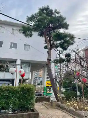 桜神宮(東京都)