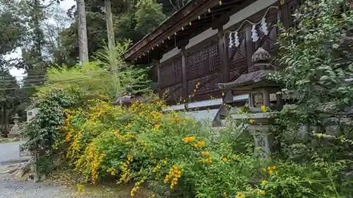 松尾大社(京都府)