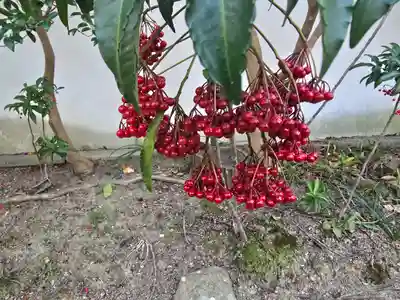 石光寺(奈良県)