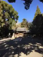 大草神社の自然