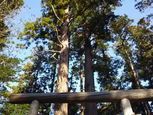 稲荷神社の自然