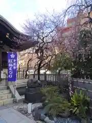 牛天神北野神社(東京都)