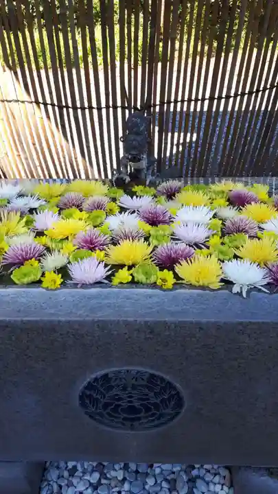 長良神社の手水舎