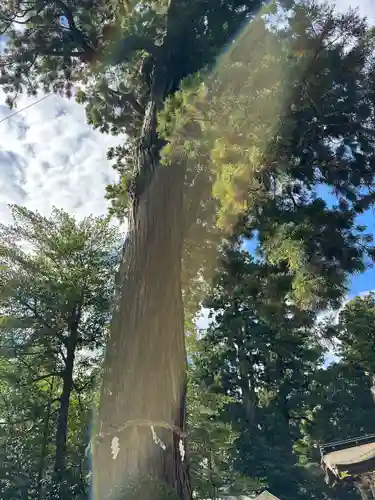 香取神宮(千葉県)