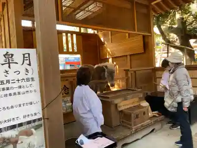 平塚八幡宮(神奈川県)