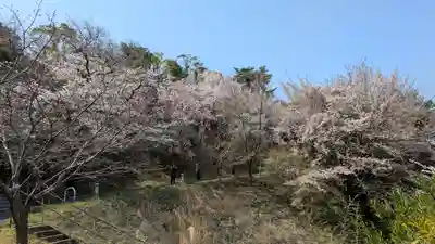 向日神社(京都府)