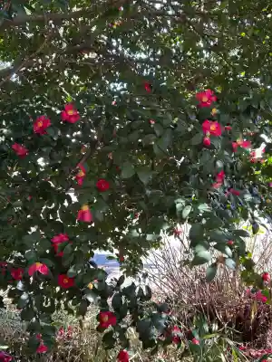 清洲山王宮 日吉神社(愛知県)