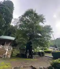 苅田比売神社(福井県)