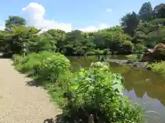 浄瑠璃寺の庭園