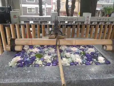 高円寺氷川神社の手水舎