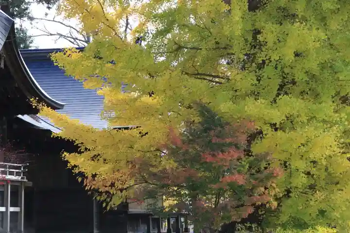 諏訪神社の自然
