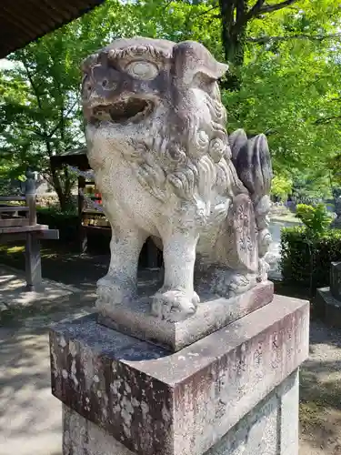 松榮神社の狛犬