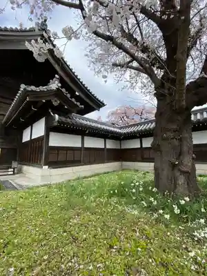 東郷寺(東京都)