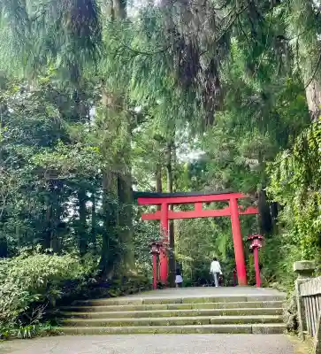 箱根神社の{uncategorized: "未分類", other: "その他", undefined: "問題あり", building: "その他建物", grave: "お墓", sacred_gate: "鳥居", guardian: "狛犬", statue: "像", buddha: "仏像", history: "歴史", nature: "自然", garden: "庭園", animal: "動物", pagoda: "塔", temizu: "手水舎", mountain_gate: "山門・神門", sanctuary: "本殿・本堂", subordinate: "末社・摂社", art: "芸術", scenery: "景色", jizo: "地蔵", ema: "絵馬", goshuin: "御朱印", omikuji: "おみくじ", items: "授与品その他", amulet: "お守り", goshuincho: "御朱印帳", eats: "食事", festival: "お祭り", votive_dance: "神楽", shichigosan: "七五三参", wedding: "結婚式", experience: "体験その他", initially: "初詣", around: "周辺", anti_infection: "感染症対策"}