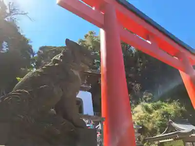 江島神社の狛犬
