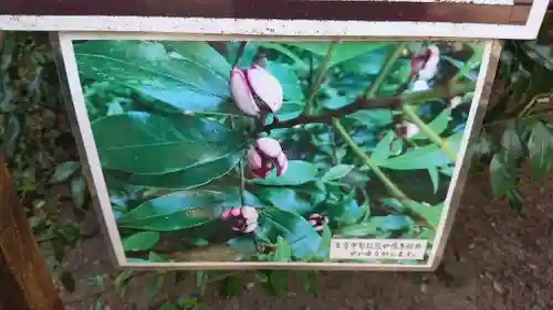 息栖神社のその他建物